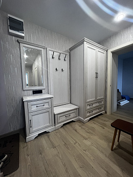 Шкаф Stylius лиственница сибирская