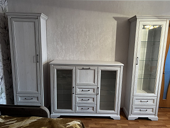 Шкаф Stylius лиственница сибирская